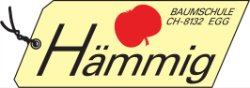 Hämmig Baumschule AG