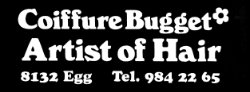Artist of Hair Bugget Artist of Hair Bugget