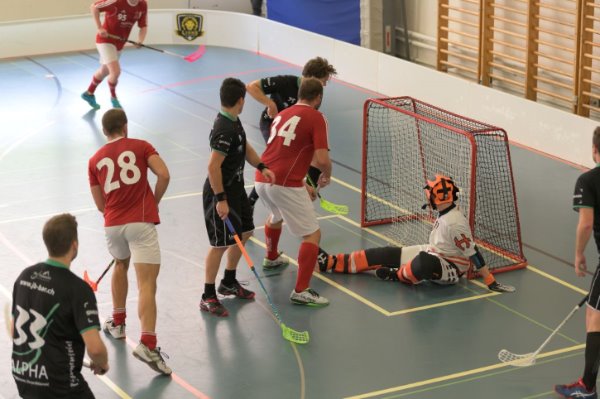 Pleiten, Pech und Pannen