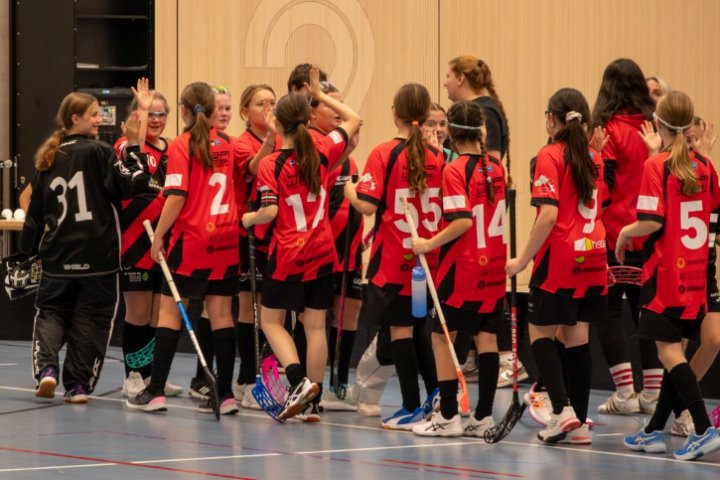 4 Spiele und ein Highlight mit dem Sieg gegen Eschenbach 4 Spiele und ein Highlight mit dem Sieg gegen Eschenbach