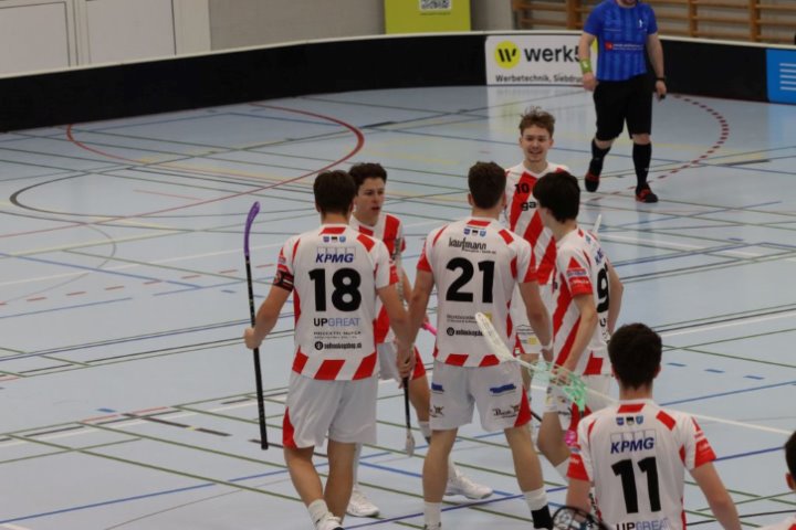 1.Playoff-Spiel knapp verloren