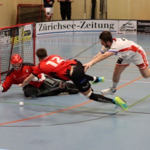 Herren 1: 1.Playoff-1/2-Final NLB: UHC Pfanni – Ticino Unihockey (4:8)